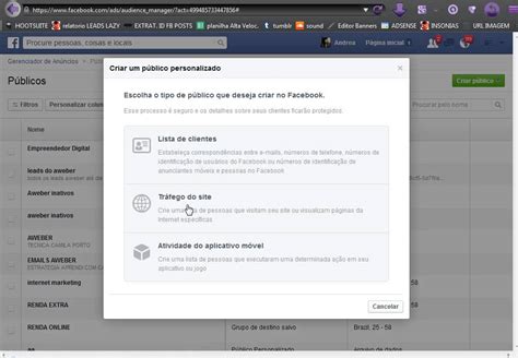 Como Criar Publico Personalizado No Facebook Youtube