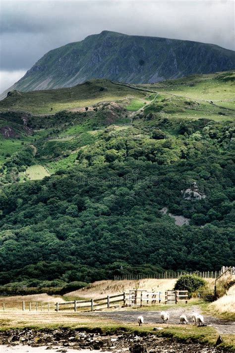 Snowdonia Mountains, North Wales, United Kingdom Stock Image - Image of sand, colours: 12520103