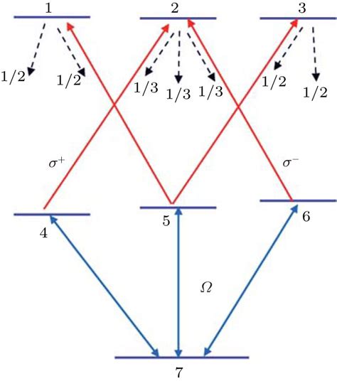 The Branching Ratios Of The 7 Level Model Here We Make The Simple Download Scientific Diagram