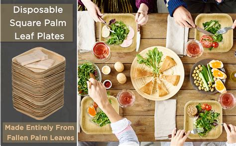 Amazon Better Than Bamboo 25 7 25 10 Disposable Square Palm