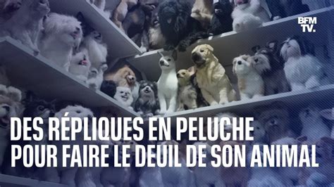 Elles Ont Fait Reproduire Leur Chien En Peluche Pour Apaiser Le Deuil