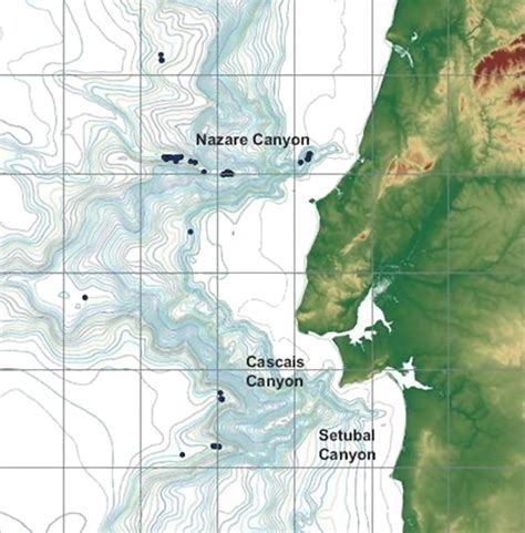 The Nazaré Submarine Canyon - Astronomy News