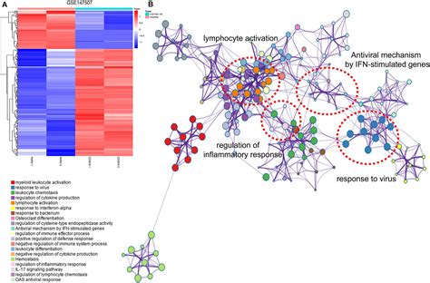 Frontiers The Landscape Of Coronavirus Disease 2019 COVID 19 And