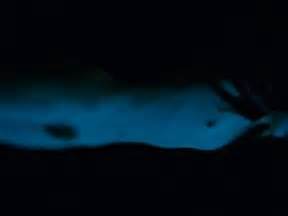 CAMILLE REWINDS NUDE SCENES AZNude