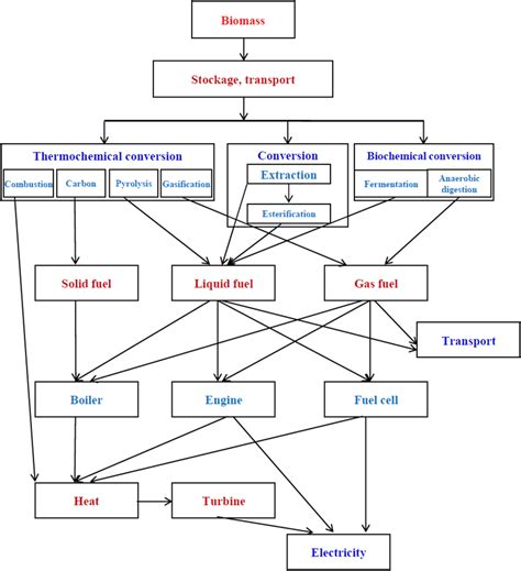 Areas Of Energy Recovery From Biomass [1] Download Scientific Diagram