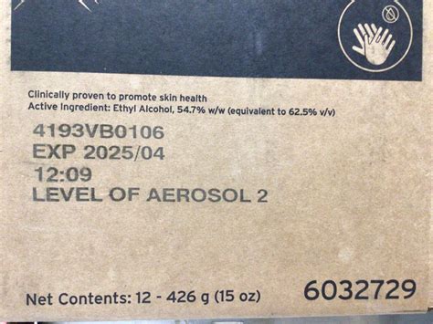 Ecolab Quik Care Aerosol Foam Hand Sanitizer 15 Oz 6032729 Exp 202504 12ct Ebay