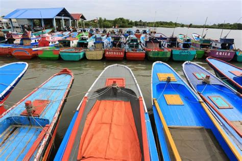 Dampak Perubahan Iklim Makin Terasa Krisis Pangan Mengancam