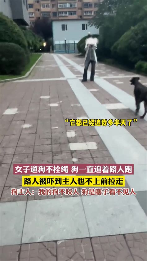 女子遛狗不栓绳，狗一直追着路人跑 直播吧