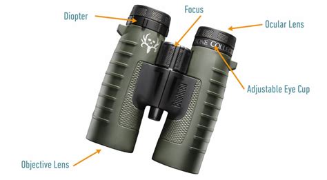 How Do Binoculars Work Explained With Pictures Optics Mag