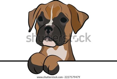 Funny Boxer Dog Paws Over White Stock Vector (Royalty Free) 2227579479 ...