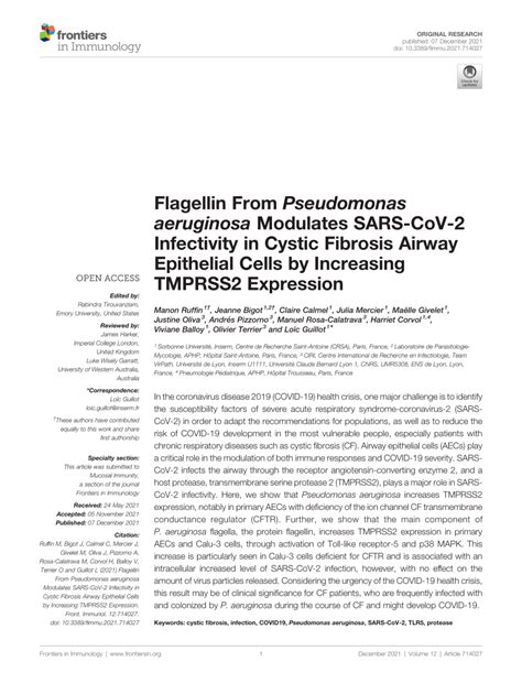 Pdf Flagellin From Pseudomonas Aeruginosa Modulates Sars Cov