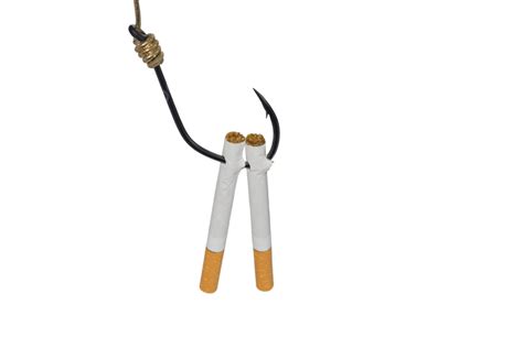 Cigarettes Smokes Broken Tobacco Cigarettes Smoking No Smoking Png