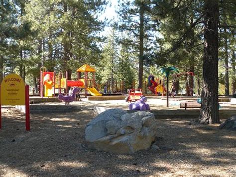 The Truckee River Regional Park offers 62 acres of Park Facilities!