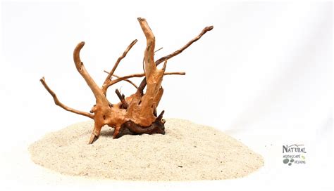 Spider Wood Aquarium Nano Driftwood X X Etsy Aquarium Driftwood