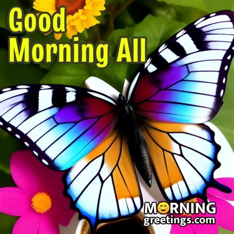 40 Fantastic Good Morning Butterfly Pics Morning Greetings