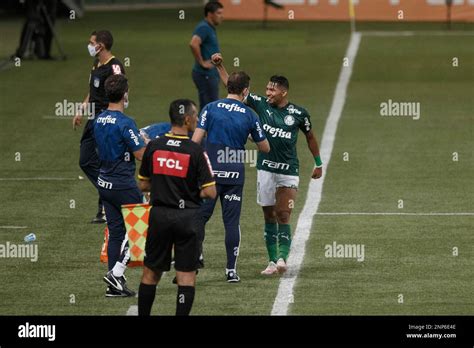 Sp Sao Paulo Brazilian Palmeiras X Bahia Rony