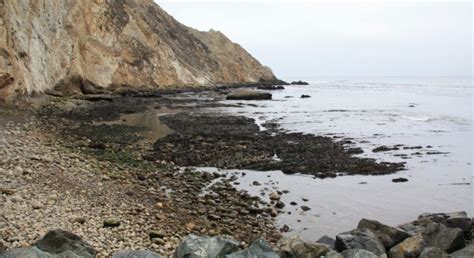 Arena Cove Beach in Point Arena, CA - California Beaches