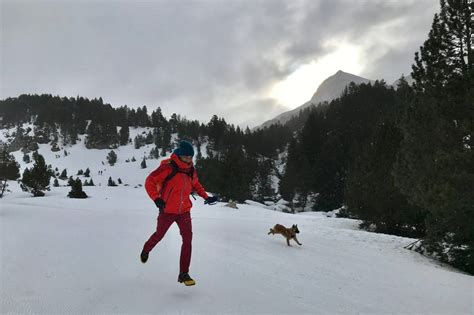 Compuesto Sabidur A Entregar Ruta Pirineos Con Perro Receta Lijadoras