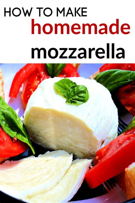 Homemade Mozzarella Cheese Recipe | 1 Hour Cheese Recipe