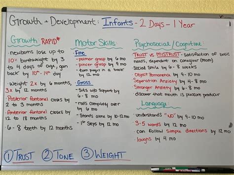 PEDIATRICS Flashcards | Quizlet