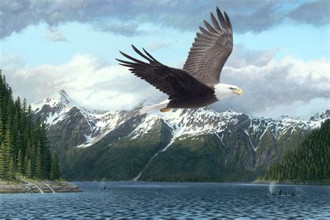 Alaskan Art Showcases The Art Of Alaskan Wildlife Artist Terry Pyles