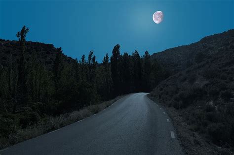 Road, trees, moon, night, HD wallpaper | Peakpx