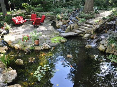 What Size Koi Pond Should I Design for my Yard? - Turpin Landscaping