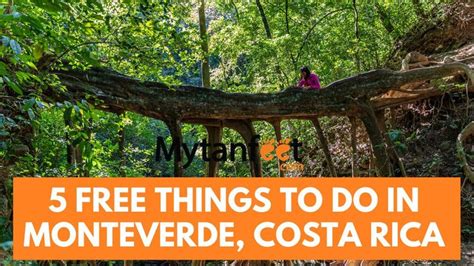 Cheap And Free Things To Do In Monteverde Free Things To Do Monteverde Costa Rica Travel