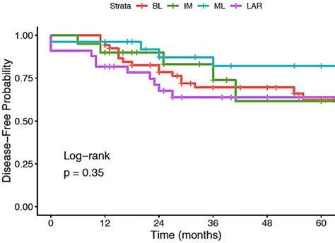 Kaplanmeier Plot For Disease Free Survival Until 5 Years By Tnbc Subtype Download