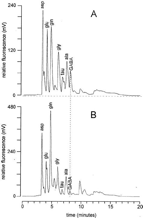 Presence Of GABA In The Cray Fi Sh Hemolymph A Chromato Gram Of A