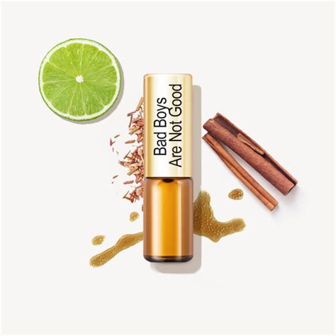 Масляные духи La Parfum Galleria Bad Boys Are Not Good - купить с ...