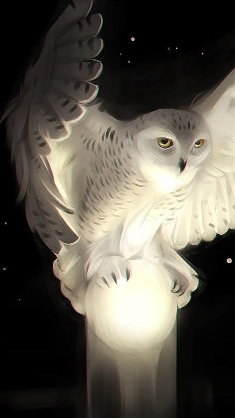 1920x1080px 1080p Free Download Owl Owls White Hd Phone Wallpaper