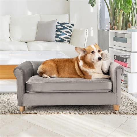 15 Best Luxury Dog Beds