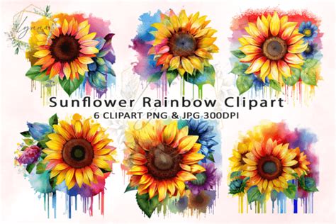 Sunflower Rainbow Watercolor Clipart Graphic By Diceenid Creative Fabrica