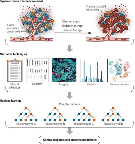 Decoding The Dynamic Tumor Microenvironment Molecularcloud