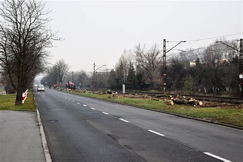 Wycinka drzew wzdłuż linii kolejowej przy ul Marka z Jemielnicy w