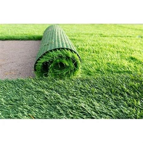 Artificial Turf In Bhubaneswar Odisha Get Latest Price From