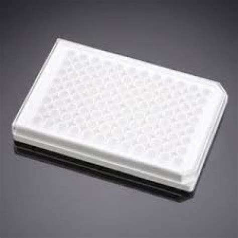 Corning BioCoat Poly D Lysine 96 Well White Flat Bottom Microplate