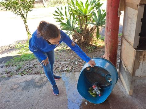 Alerta Mogi Mirim Chega A 211 Casos De Dengue