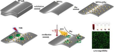 用于抗菌应用的近红外光响应和载药黑磷纳米片 Colloids and Surfaces B Biointerfaces X MOL