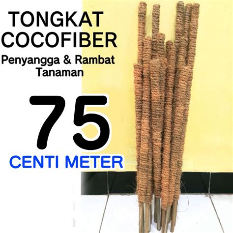 Jual Turus Penyangga Tanaman Rambatan Tanaman Tiang Rambatan Tanaman