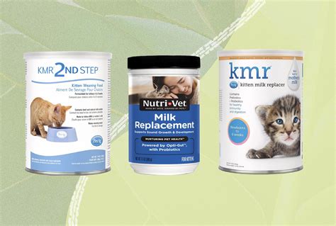 The 4 Best Kitten Milk Replacers