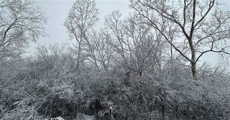 Photo gallery: Snow blankets Southeast Michigan during snowstorm