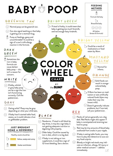 Feces Color Chart