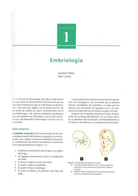 Tratado De Otologia Y Audiologia Rivas Pdf