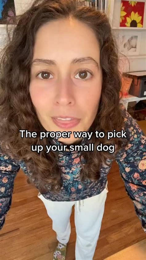 how to pick up small dogs