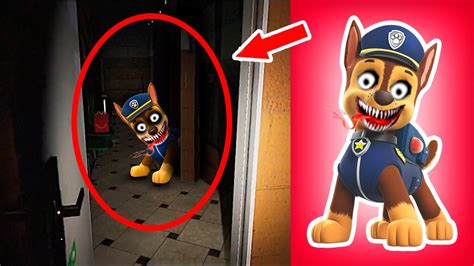 5 Personajes De PAW PATROL Captados En Camara YouTube