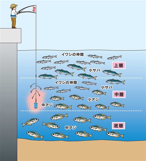 サビキ釣りとは釣れる魚必要な道具仕掛け釣り方のコツを解説初心者向け SHIMANO シマノ