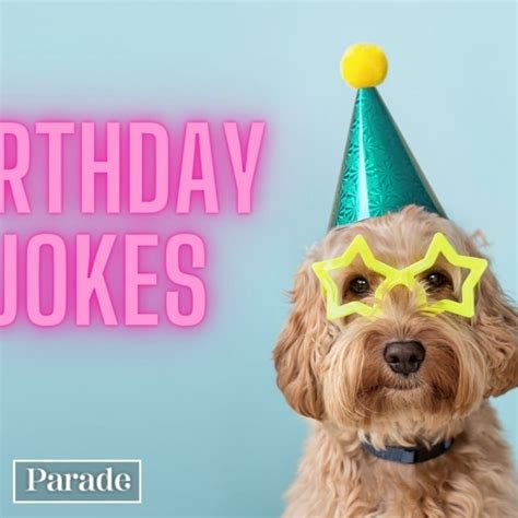 The Ultimate Collection Of 4K Happy Birthday Images Funny Over 999