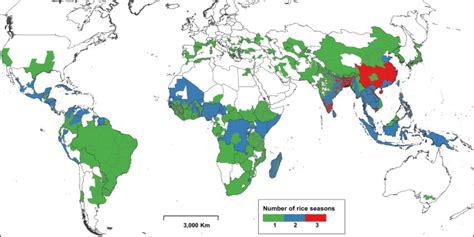 RiceAtlas A Spatial Database Of Global Rice Calendars And Production